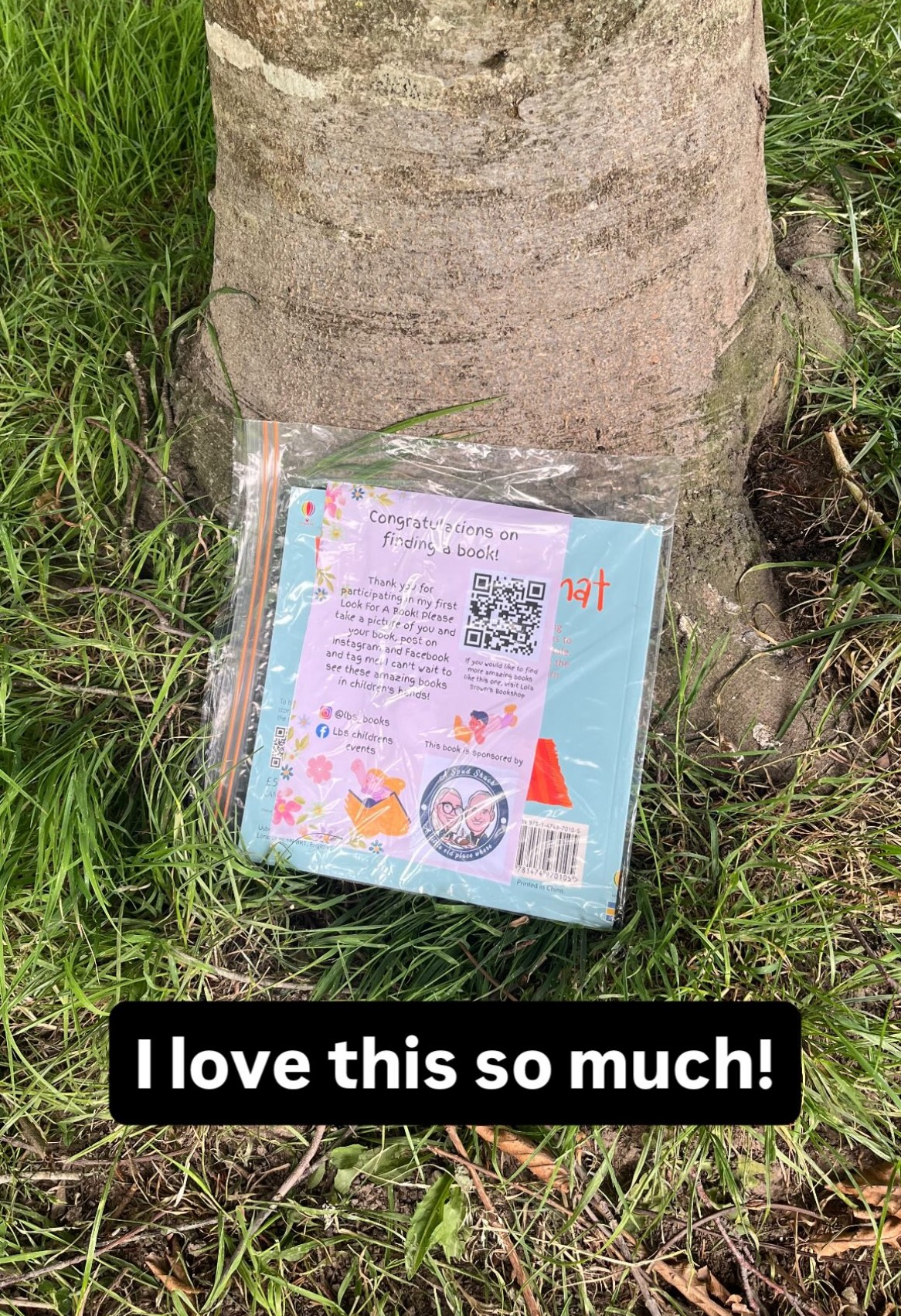 Book hidden under a tree