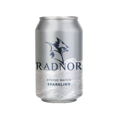 Radnor Hills Sparkling Spring Water - 330ml