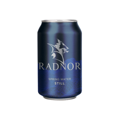 Radnor Hills Still Spring Water - 330ml
